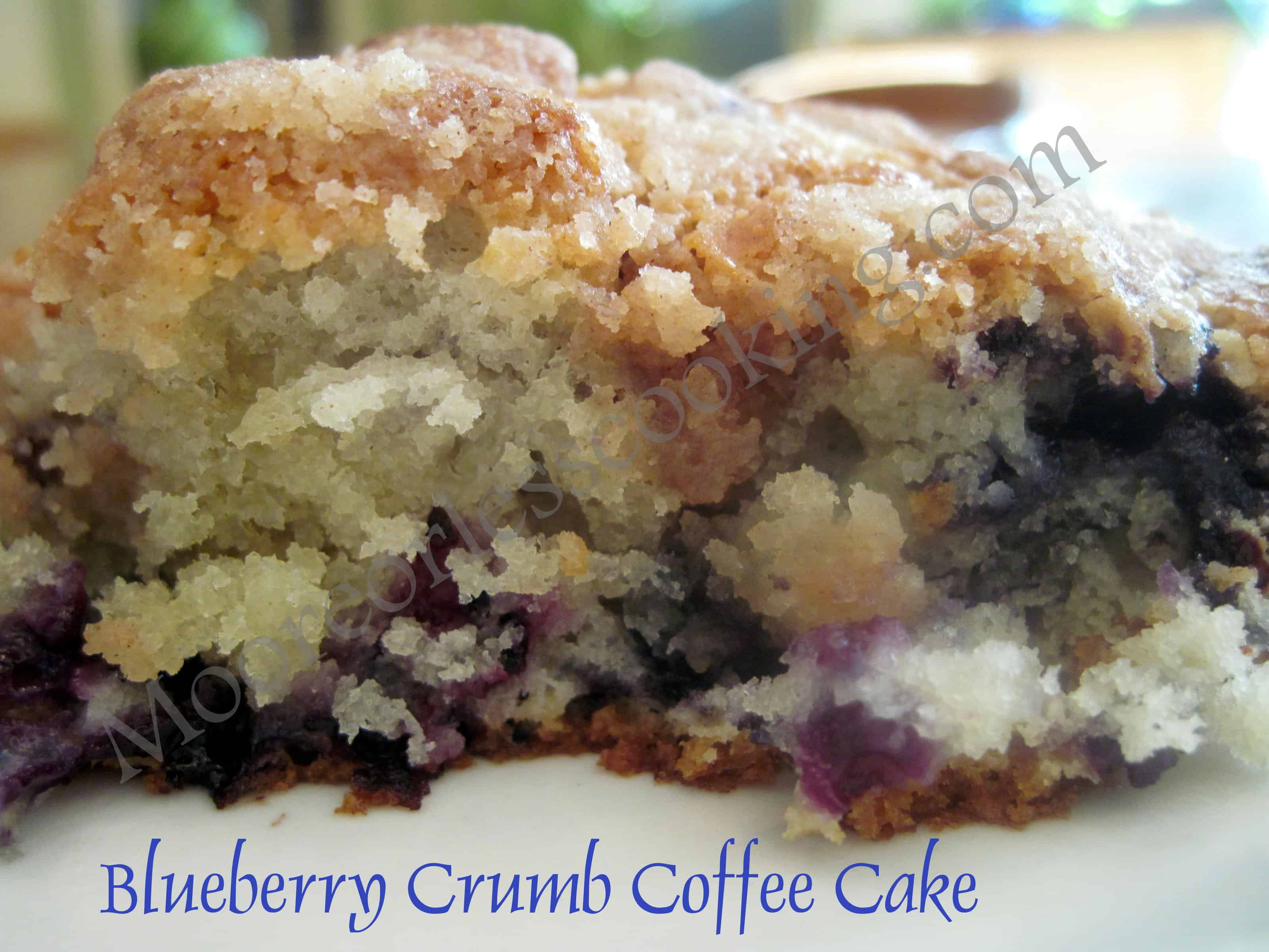 Easy Blueberry Coffee Cake Recipe - No Diets Allowed