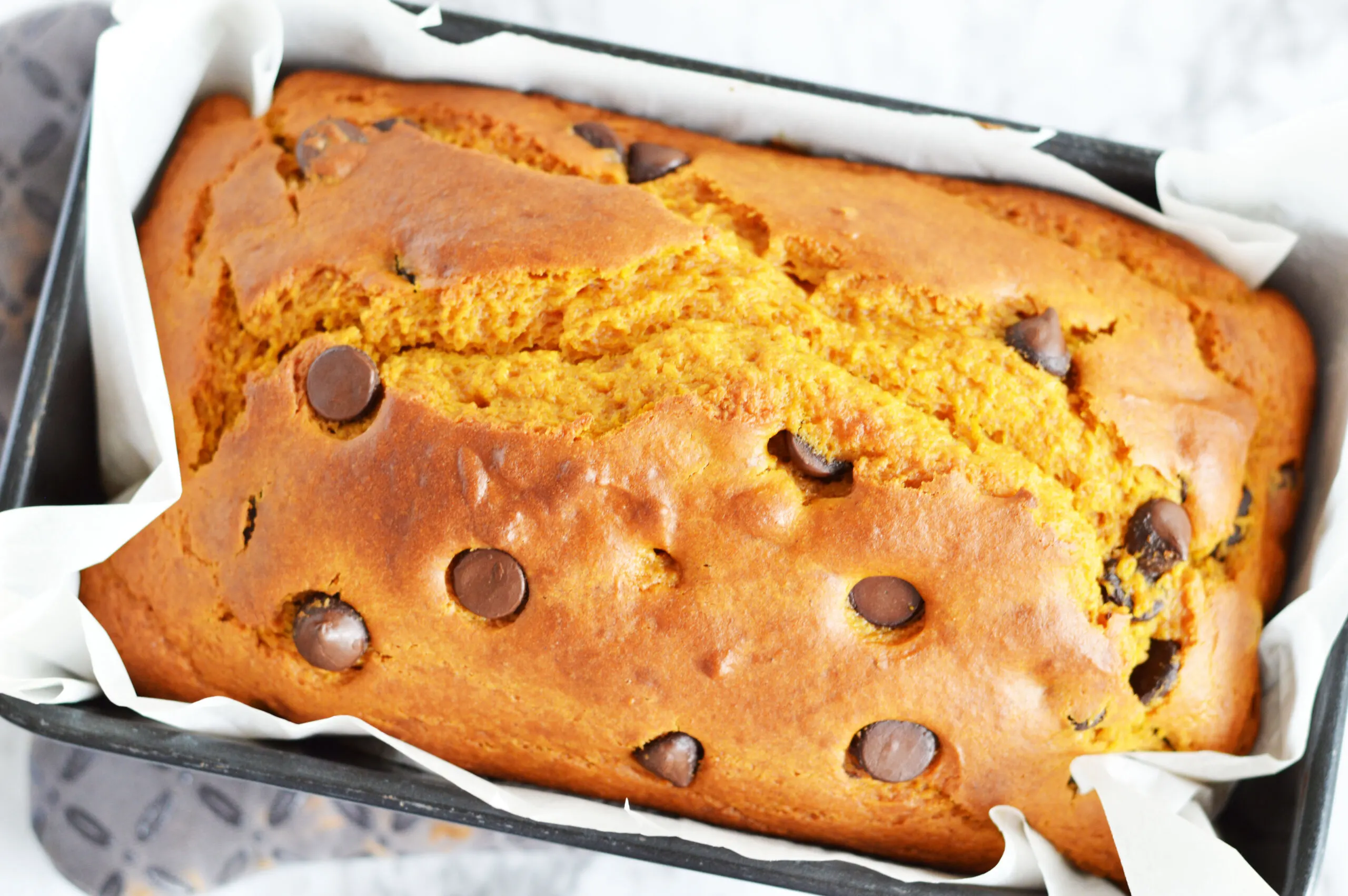 full loaf pumpkin chocolate bread