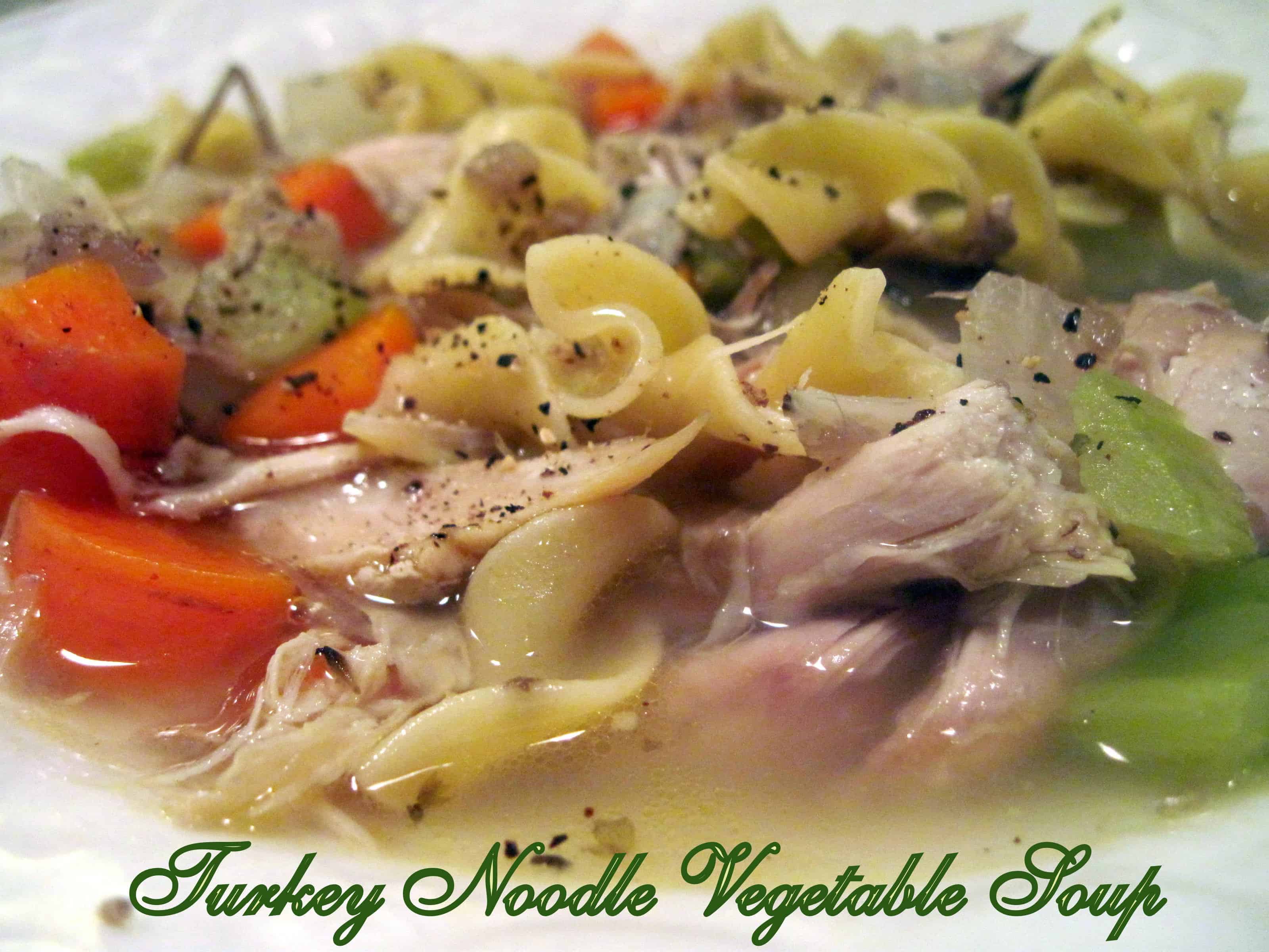 TURKEY NOODLE VEGETABLE SOUP