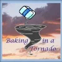 Baking In A Tornado 200 X 200  framed