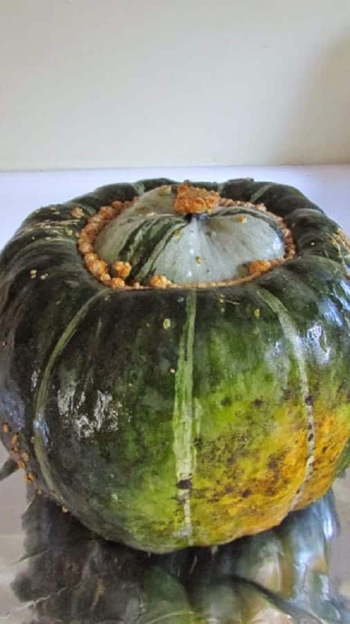 Baked Buttercup Squash - Moore or Less Cooking