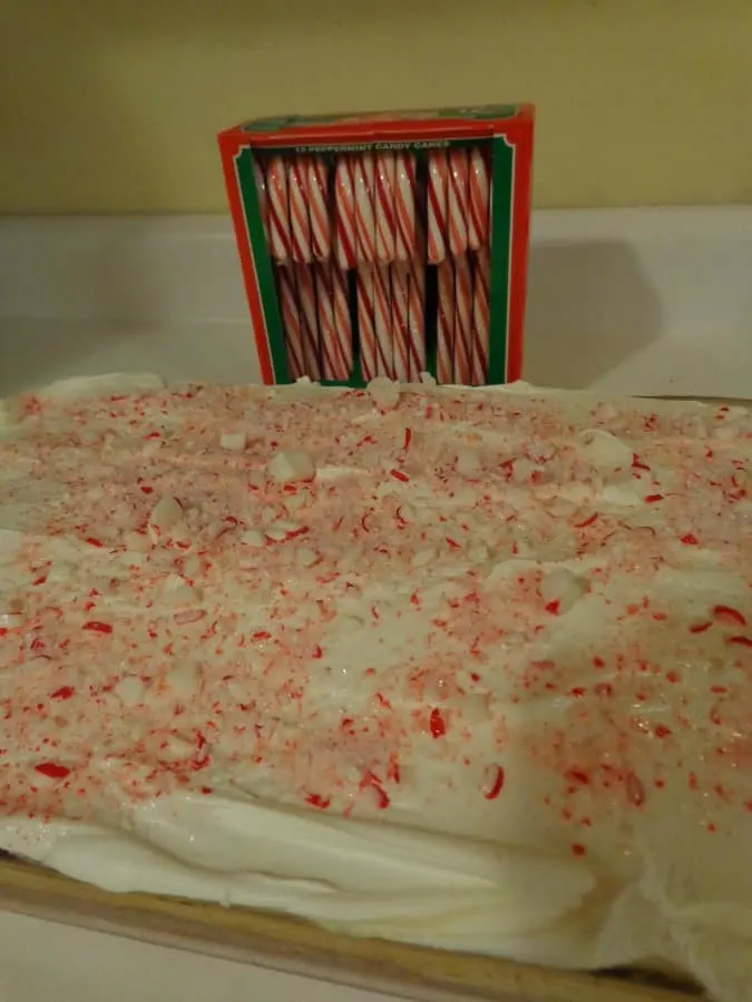 uncut dessert in baking pan with a box of traditional candy canes in the background. 