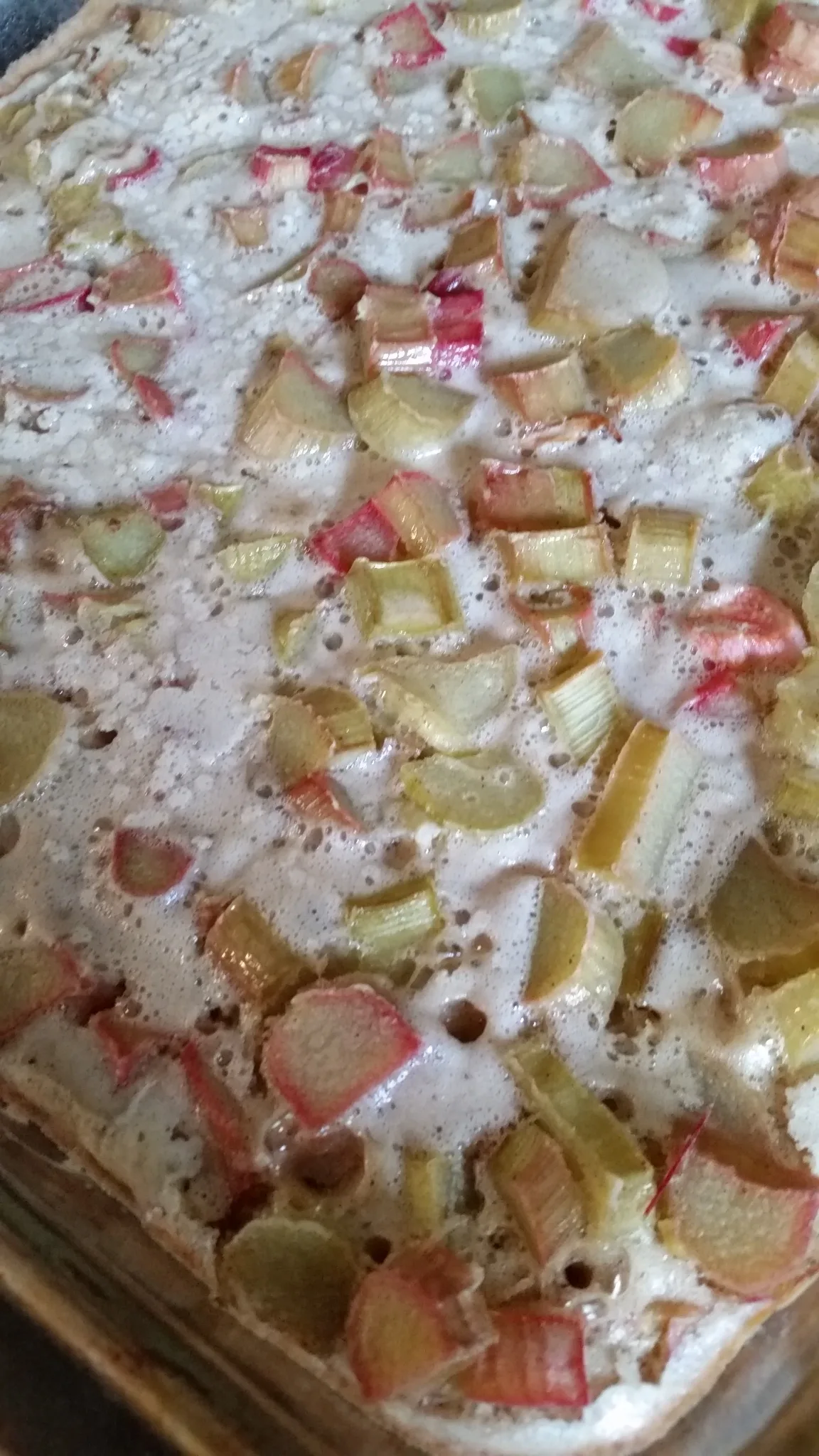 Rhubarb Pie Bars