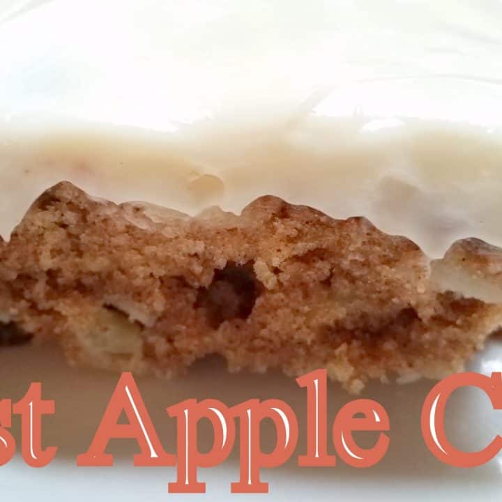 BEST APPLE CAKE-image