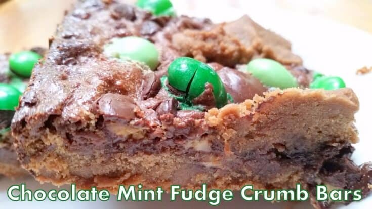 Chocolate Mint Fudge Crumb Bars