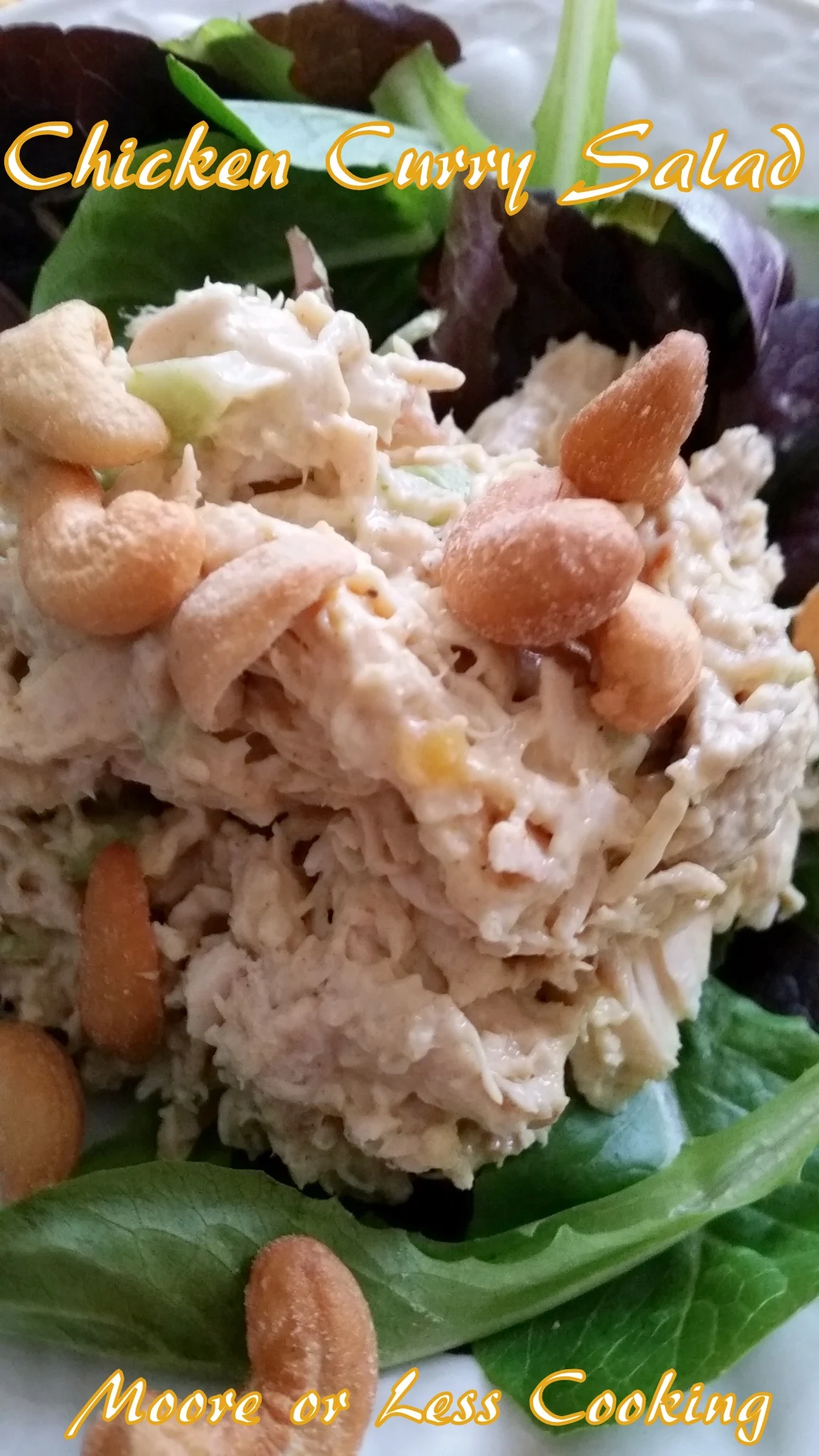 Chicken Curry Salad - Moore or Less Cooking