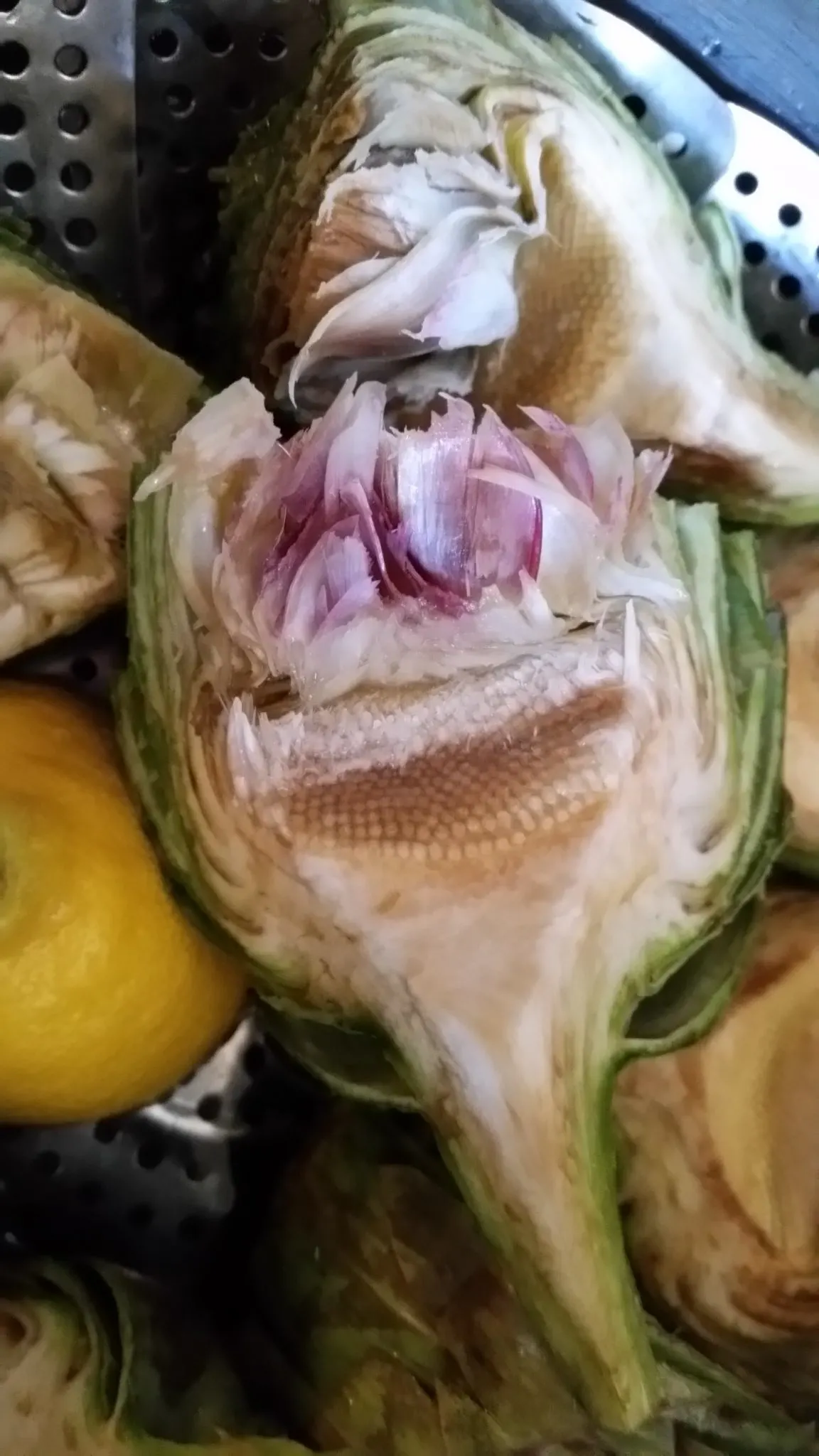 artichokes