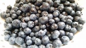 king arthur blueberry key lime tart