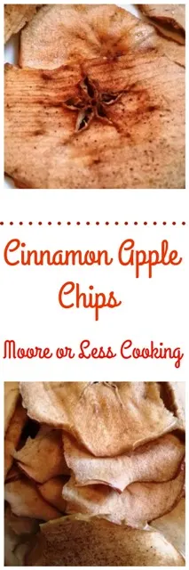 Cinnamon Apple Chips