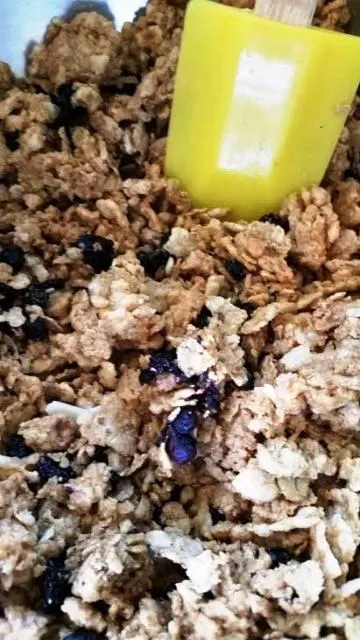 Blueberry Burst Crunch Bars