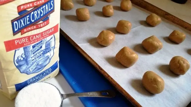 Halloween Spider Cookies