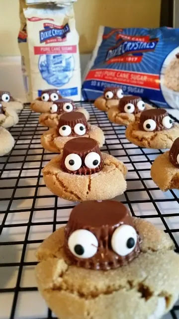 Halloween Spider Cookies