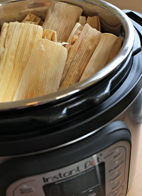 https://mooreorlesscooking.com/wp-content/uploads/2018/09/Tamales-in-an-Instant-Pot.jpg.webp