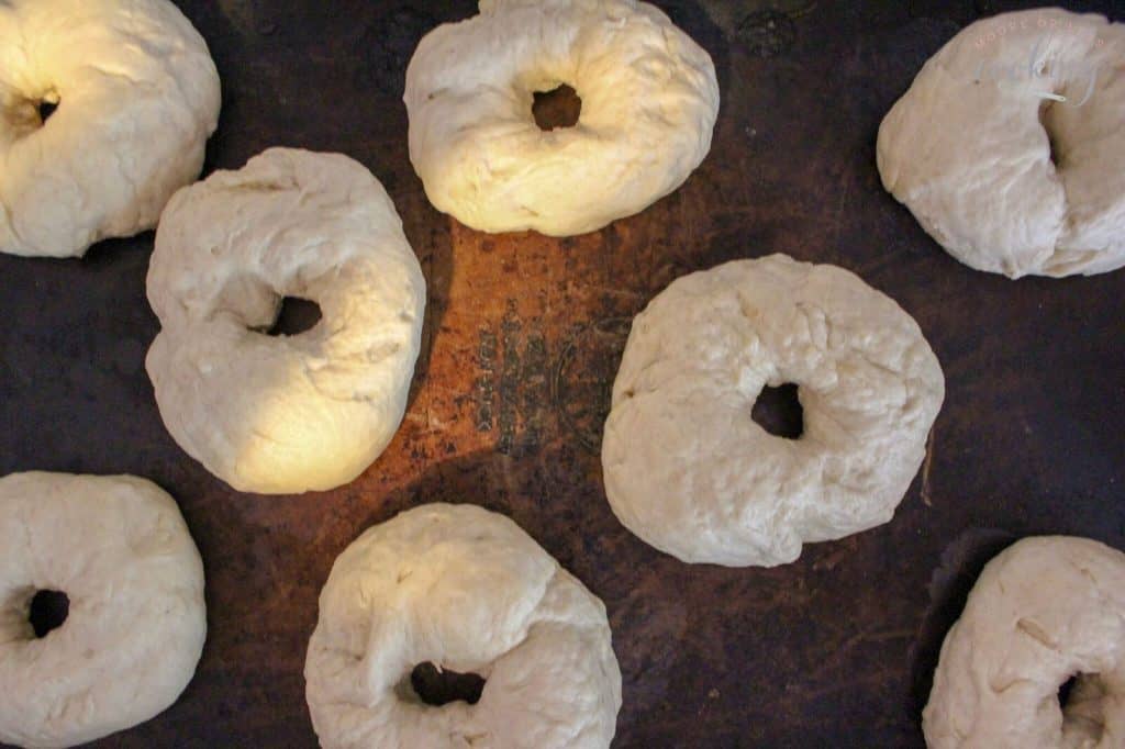 Everything Bagels Moore or Less Cooking