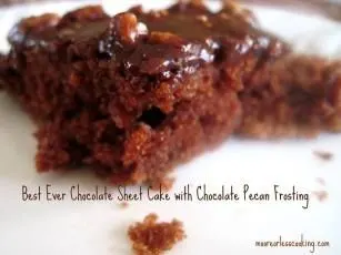 Best Chocolate Sheet Cake