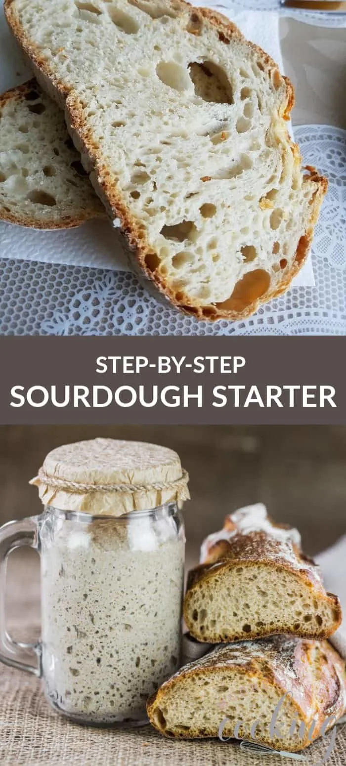 Sourdough Starter Pin