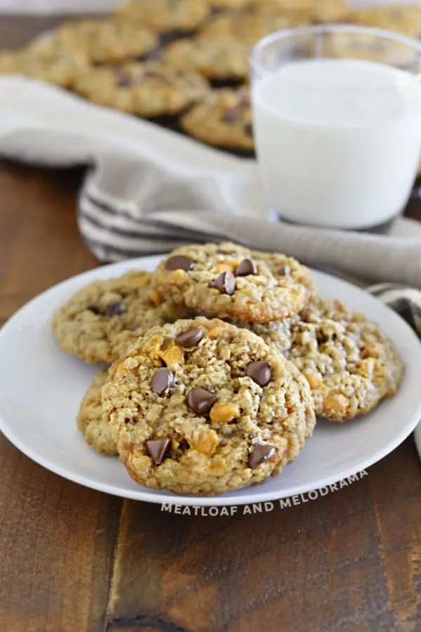 oatmeal-butterscotch-chocolate-chip-cookies