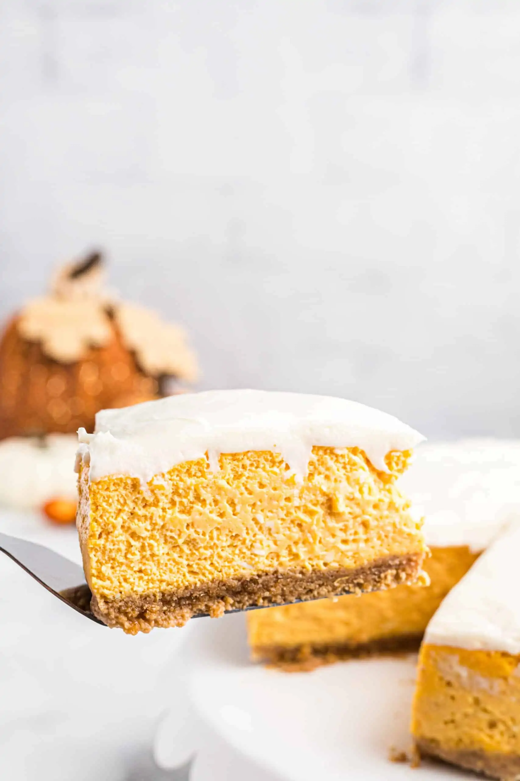 Pumpkin Cheesecake