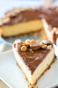 slice peanut butter cup cheesecake on white plate