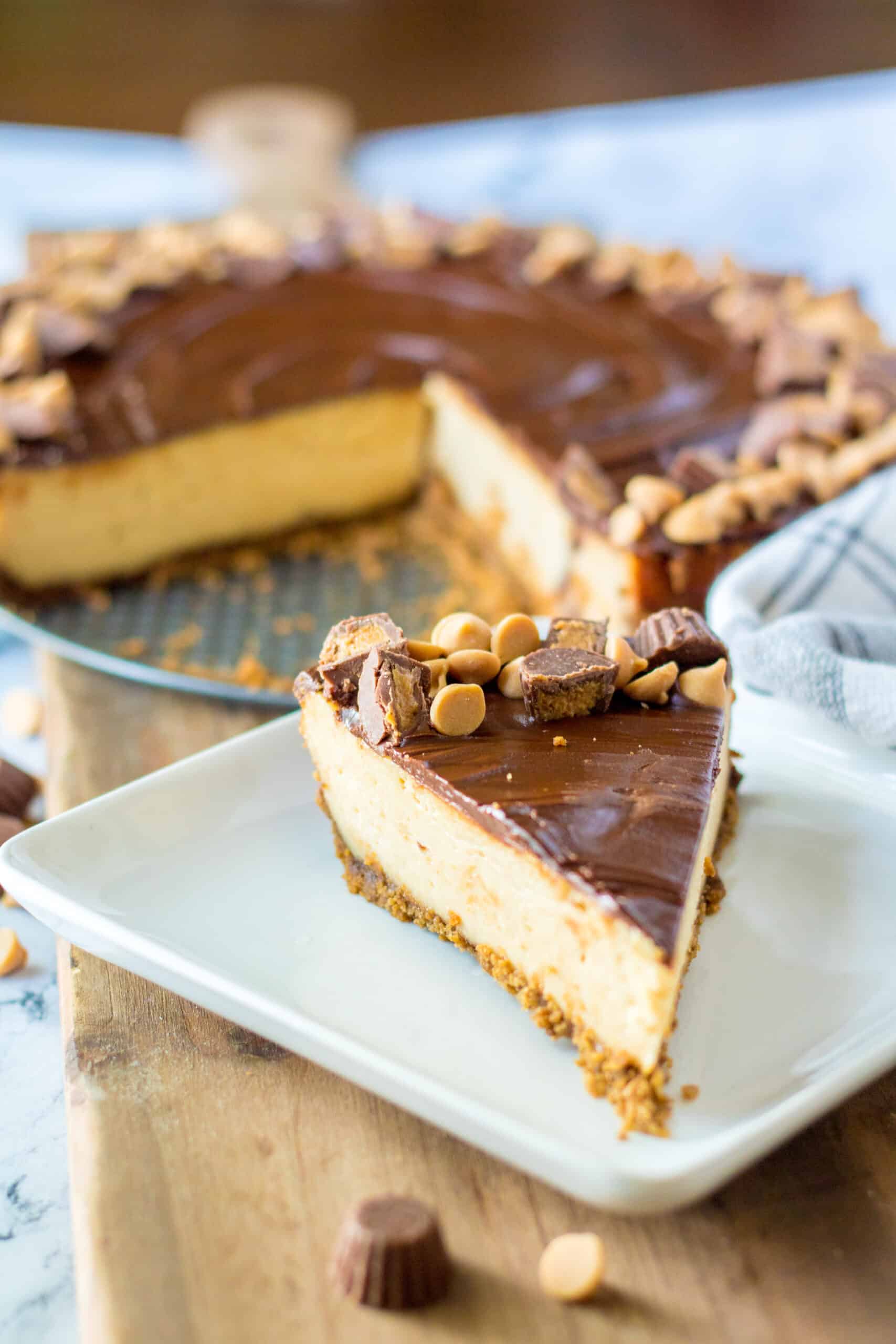 peanut butter cup angled slice white plate in front of whole cheesecake