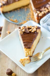 fork in peanut butter cup cheesecake