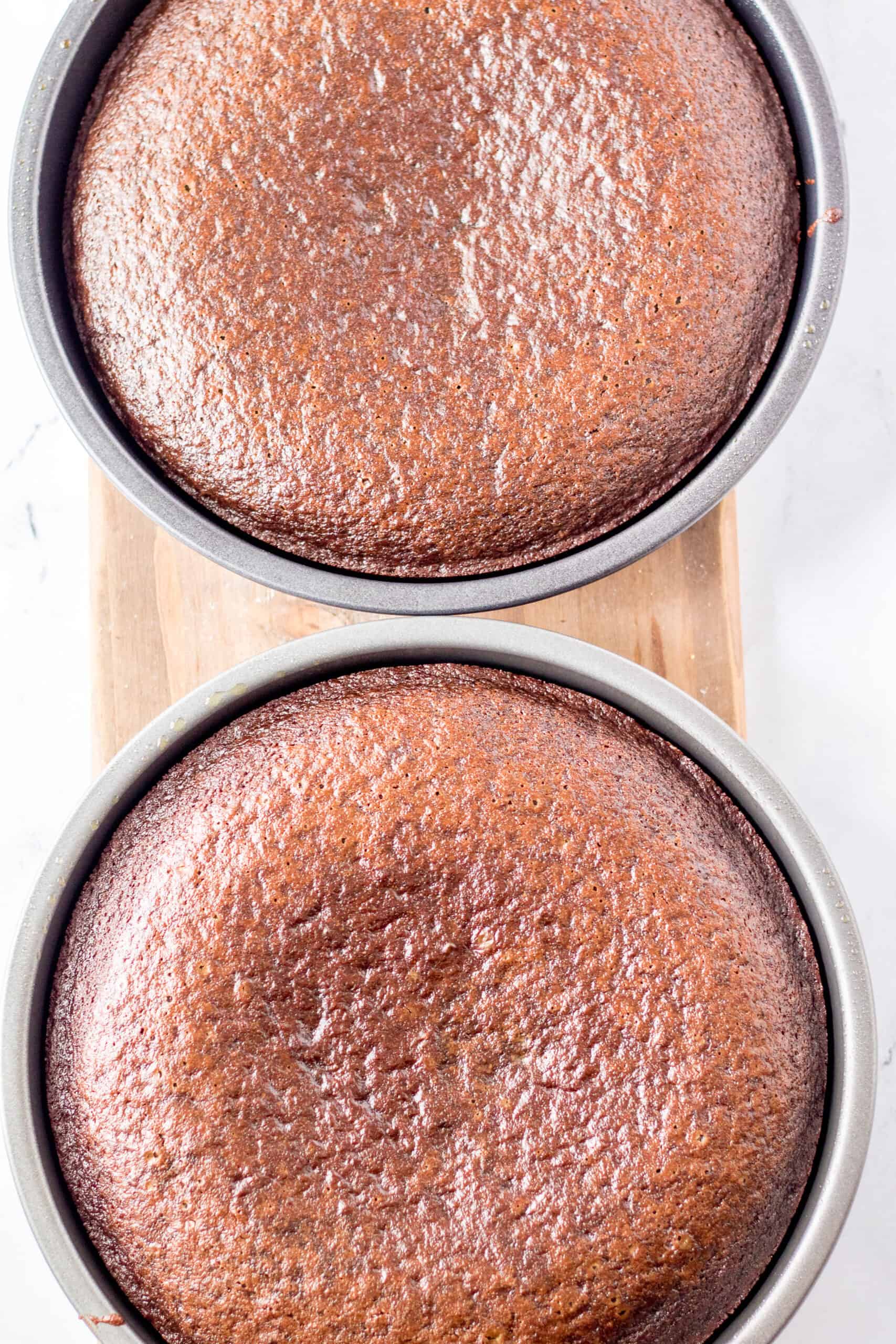 classic chocolate cakes in pan