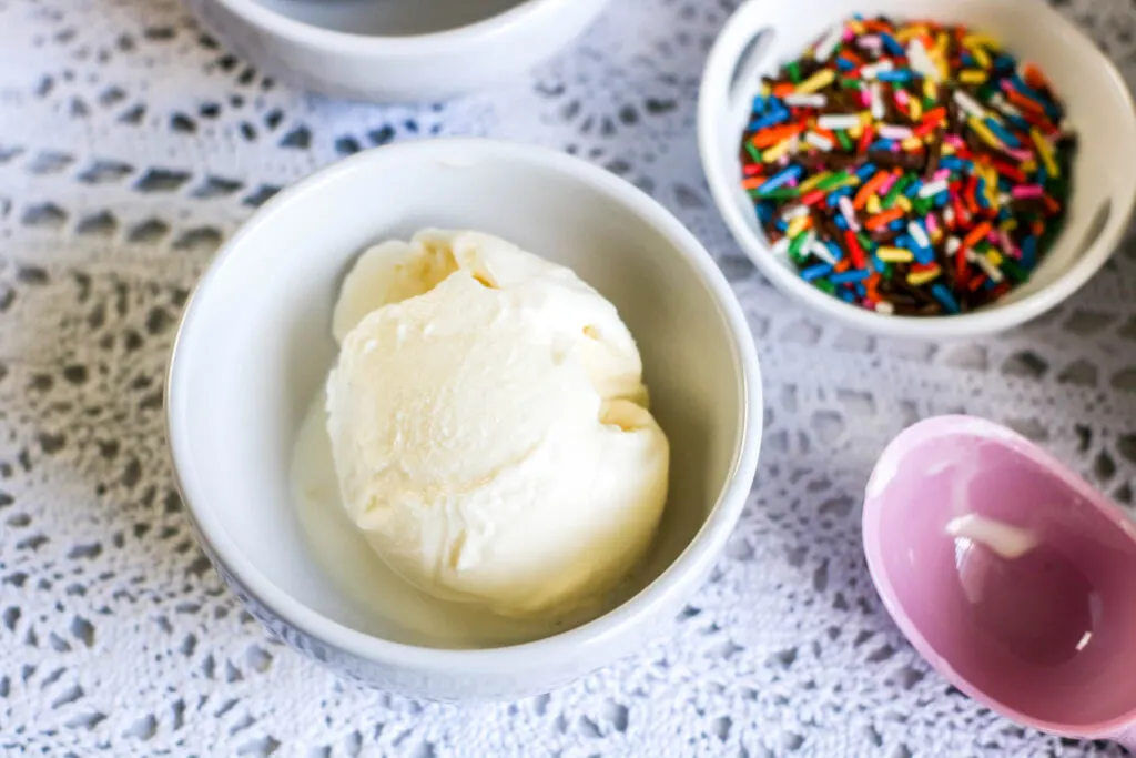 Vanilla Ice Cream
