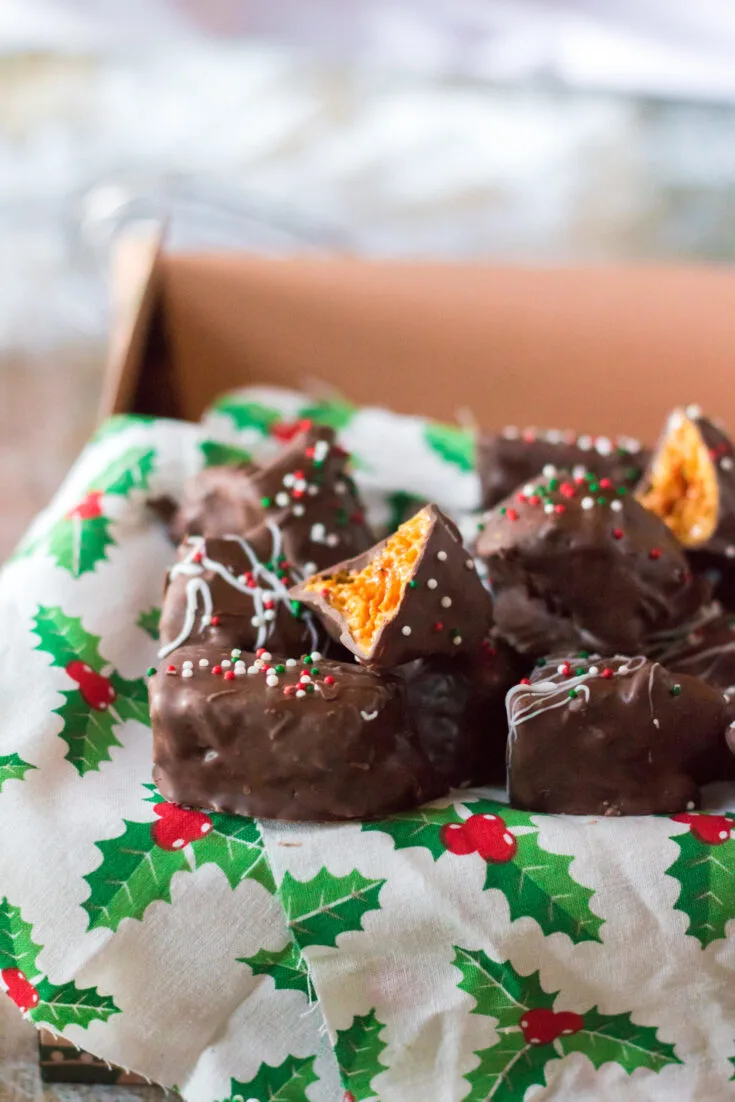 Chocolate-Covered Honeycomb Candy