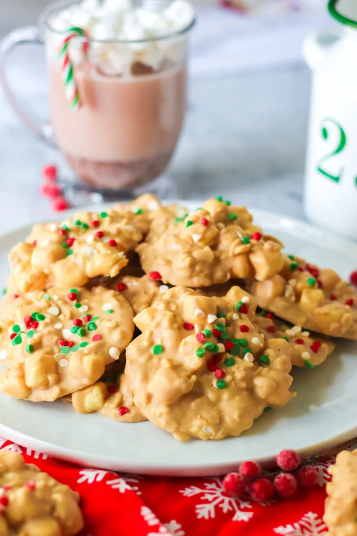 Slow Cooker Avalanche Cookies