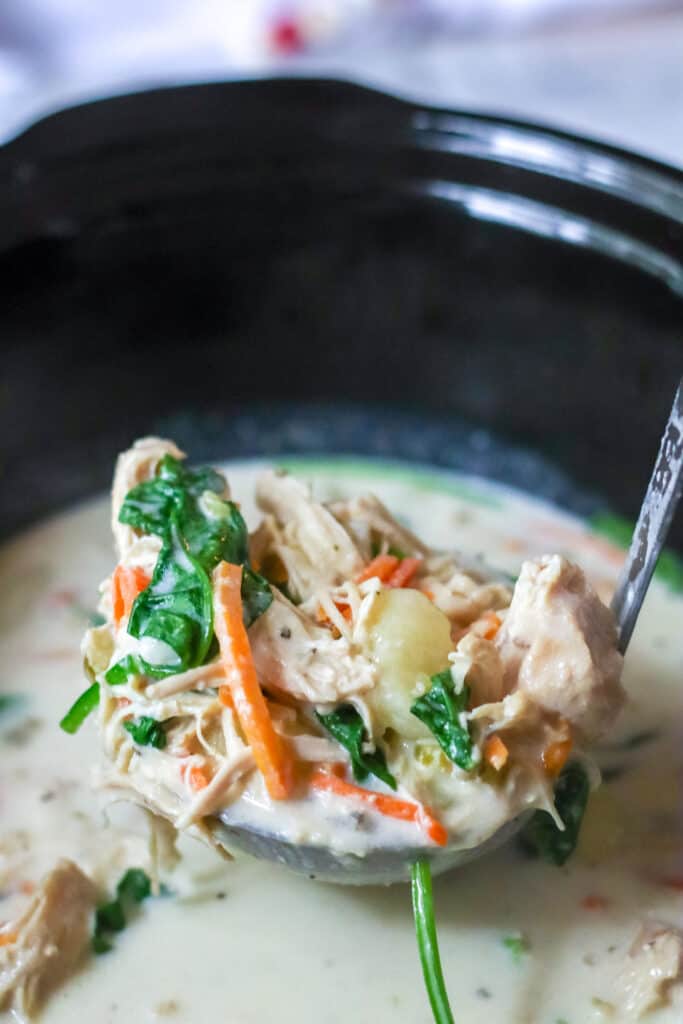 Slow Cooker Copycat Olive Garden Gnocchi Soup Moore or Less Cooking