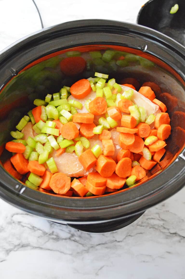 Crockpot Chicken Noodle Soup - Moore or Less Cooking