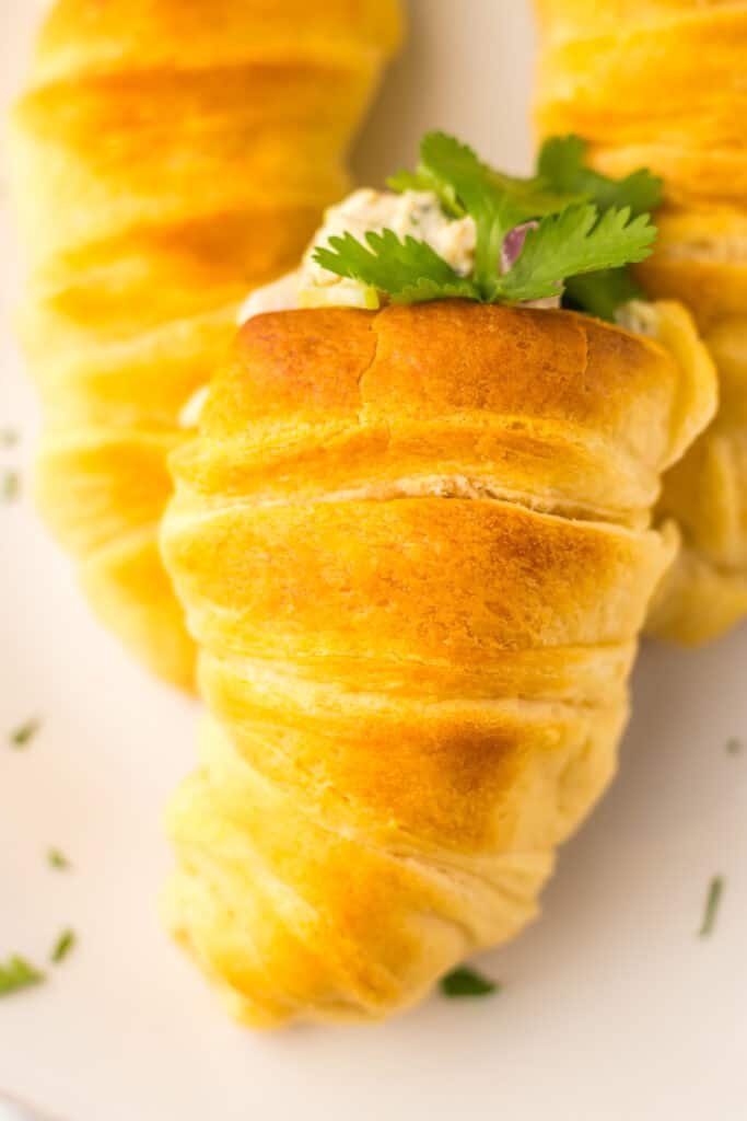 Chicken Salad Carrot Stuffed Crescents 