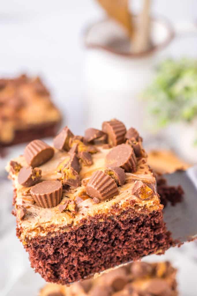 Peanut Butter Cup Poke Cake
