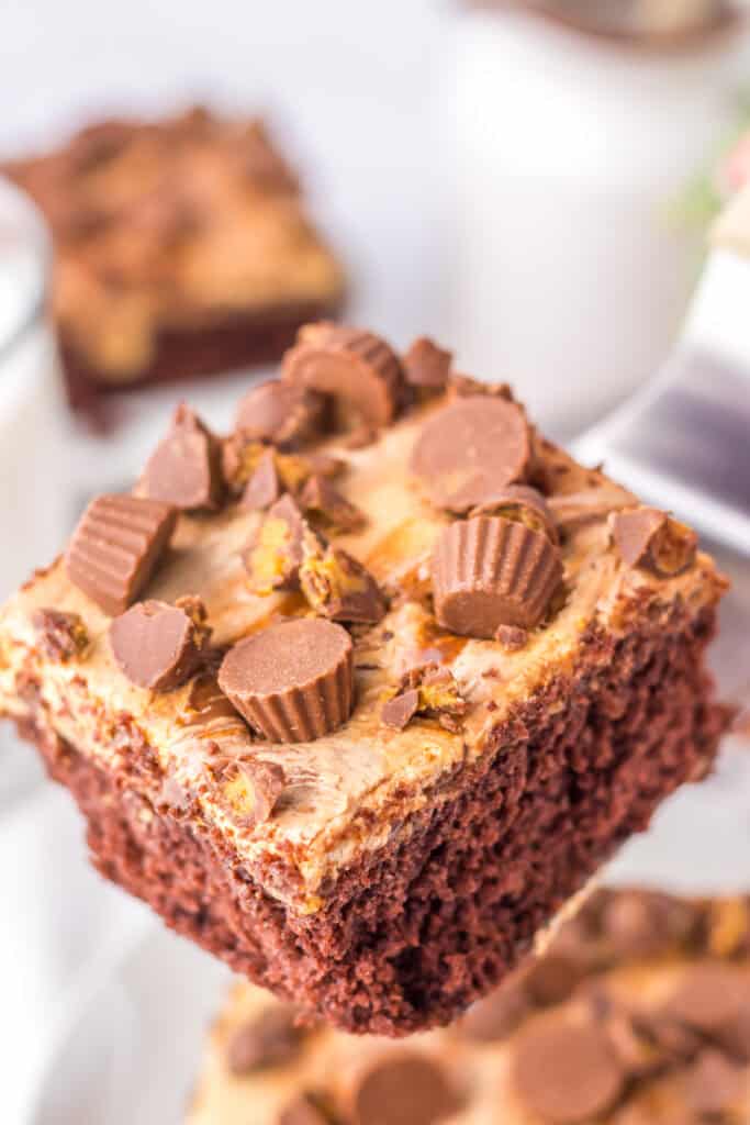 close up Peanut Butter Cup Poke Cake