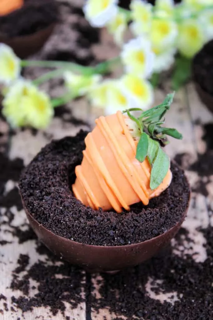 Carrot Patch Brownie cups
