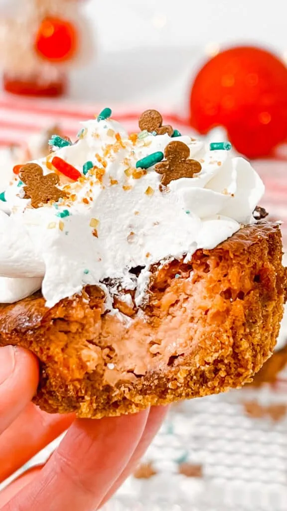 Gingerbread Cheesecake Bites with whipped cream, sprinkles, and gingerbread cookies.