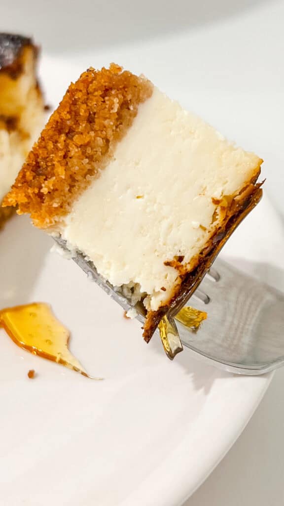 bite of cheesecake