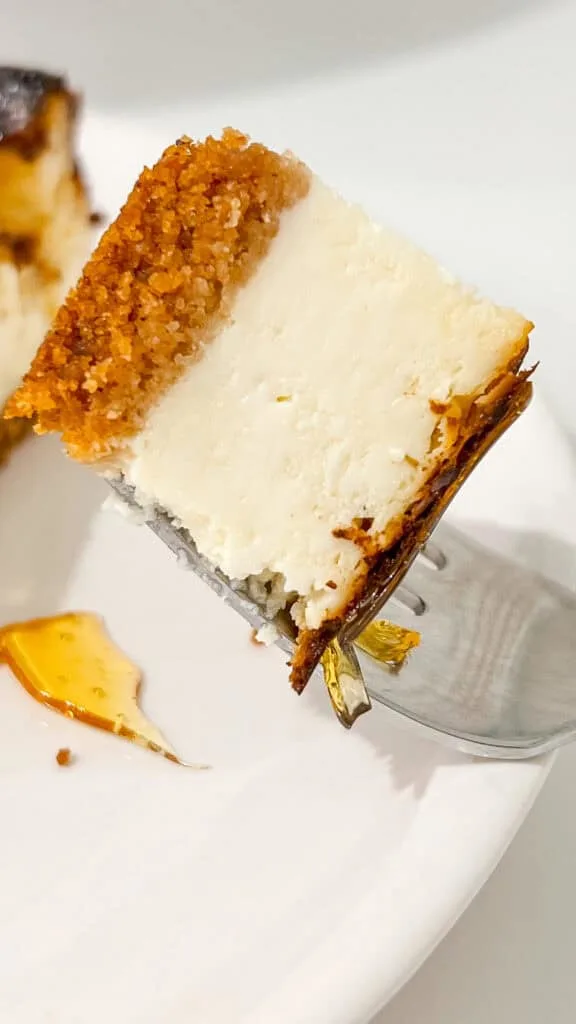 bite of cheesecake