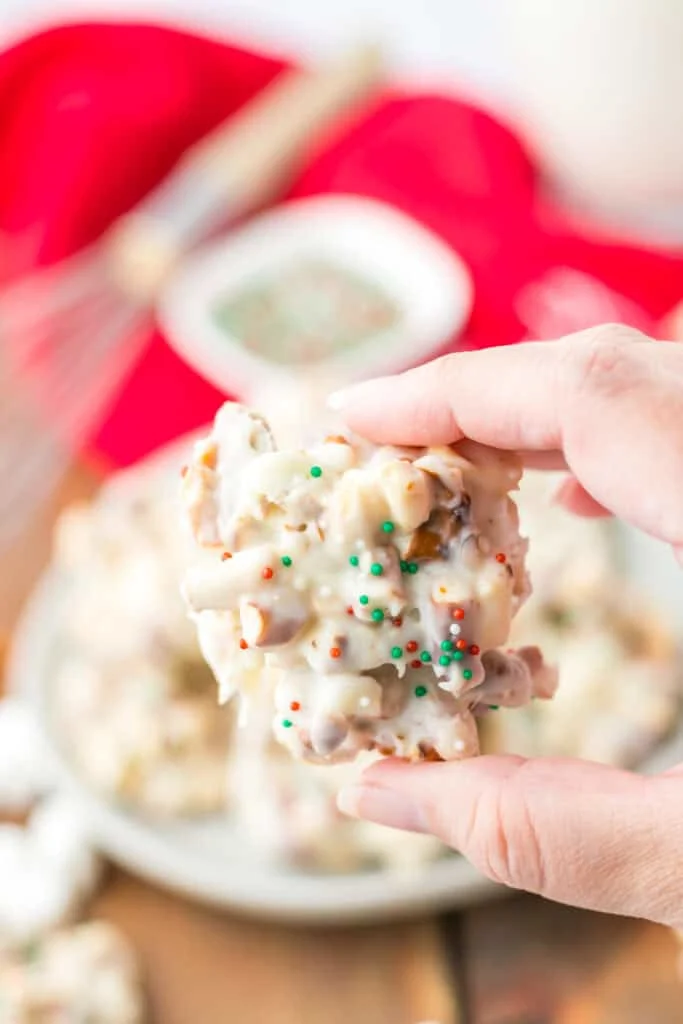 holding a slow cooker candy