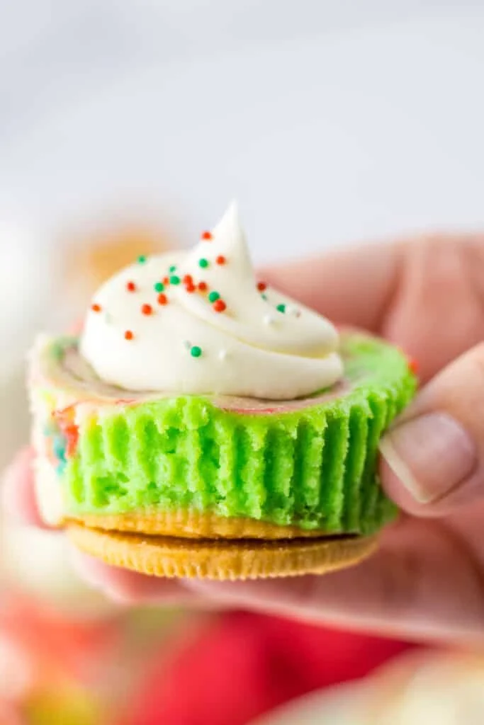 Holding christmas cheesecake