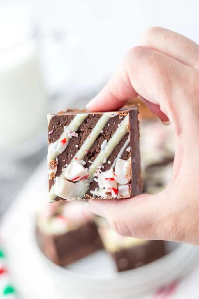 hand holding peppermint fudge