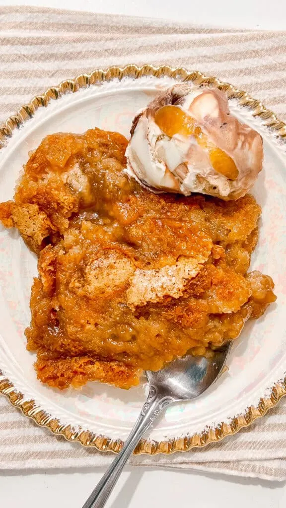 warm cobbler served with ice cream