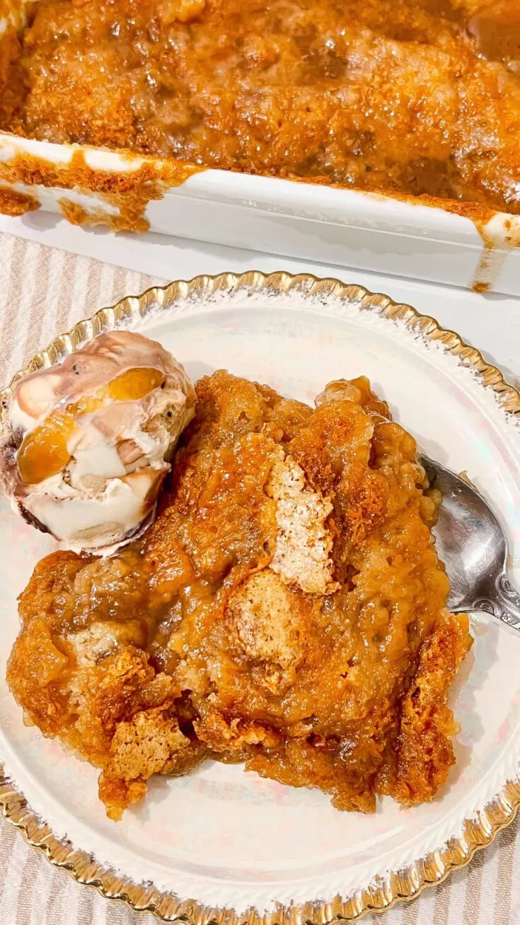 one serving of cobbler with ice cream on plate