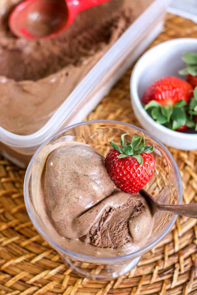 chocolate ice cream in plastic tub red scooper ,bowl of chocolate ice cream with strawberry