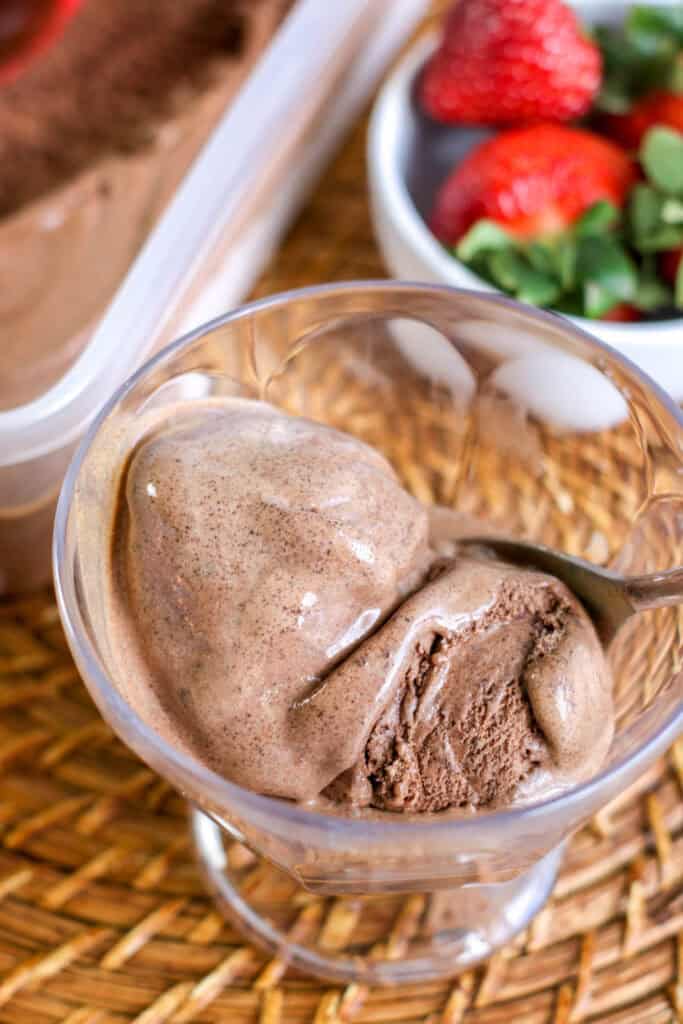 chocolate ice cream in plastic tub red scooper ,bowl of chocolate ice cream