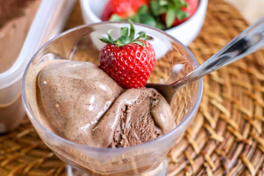 chocolate ice cream in plastic tub red scooper ,bowl of chocolate ice cream