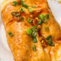 Delicious chicken enchiladas with melted cheese and green onions on top.
