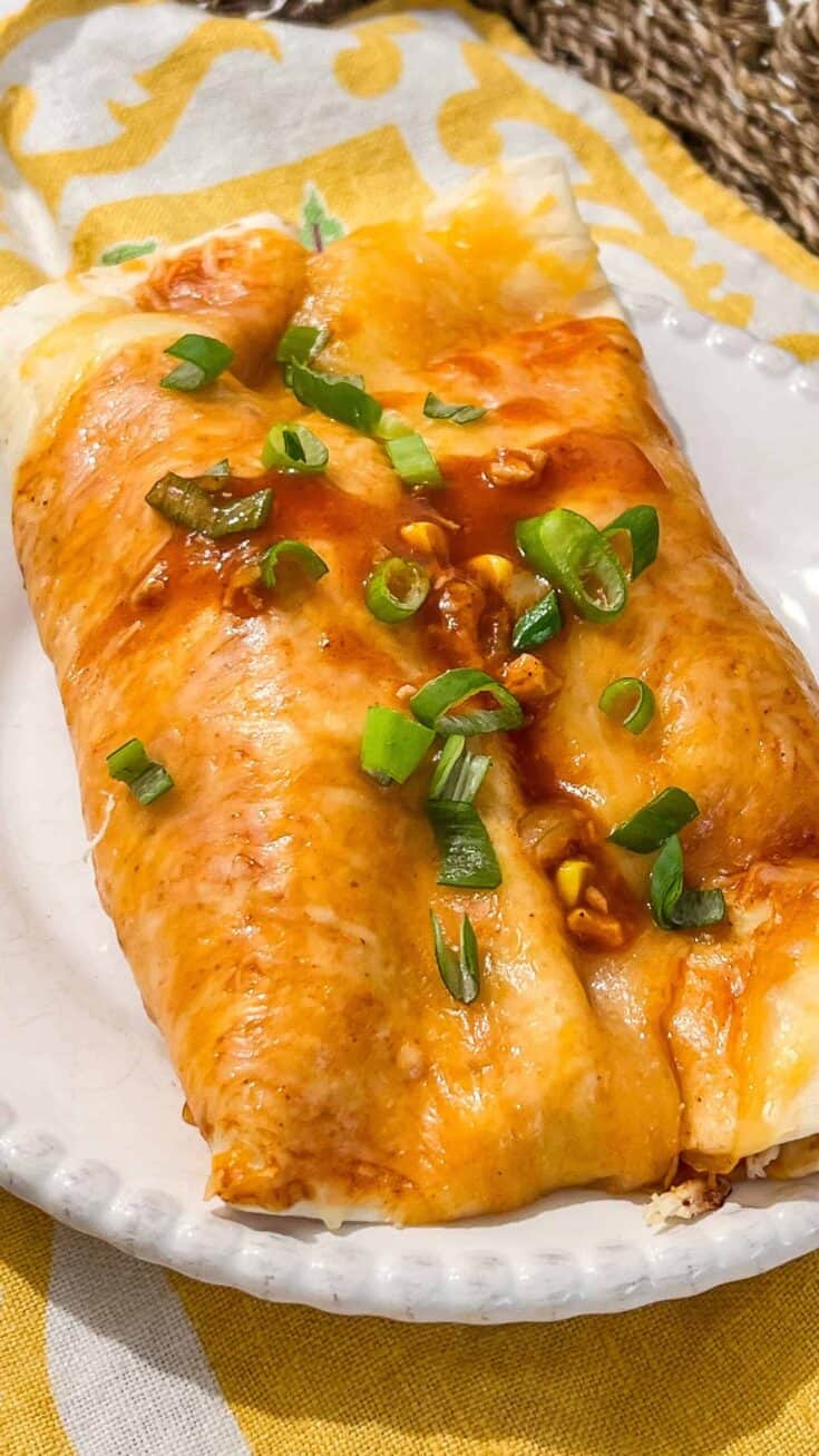 Delicious chicken enchiladas with melted cheese and green onions on top.