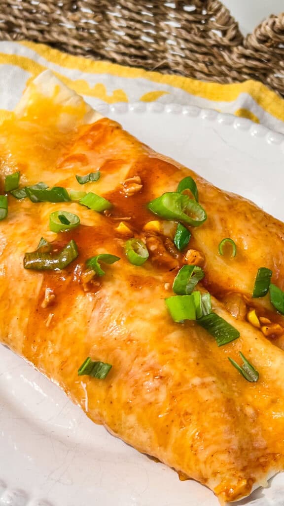 Delicious cooked chicken enchiladas garnished with green onions on a white plate.
