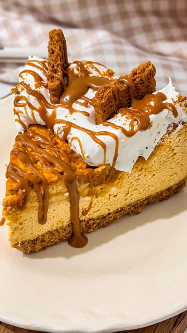 Pumpkin cheesecake slice with whipped cream and caramel drizzle.